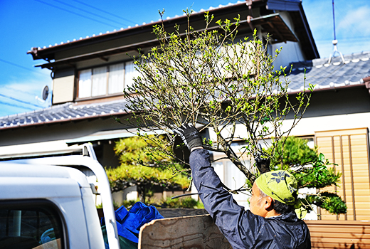 伐採した木を運搬している画像